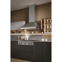 Hotte murale de 36 po de Best (WPP1366SS) - Acier inoxydable