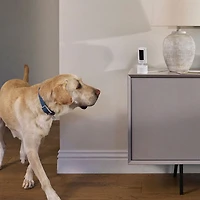 Ring Pan-Tilt Indoor 1080p HD IP Camera - Blush