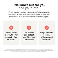 Pixel 9 de 128 Go de Google avec Fido - Thé des bois - Financement mensuel