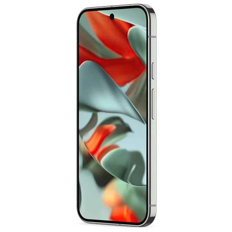 Pixel 9 Pro XL de 256 Go de Google avec Fido - Vert lichen - Financement mensuel