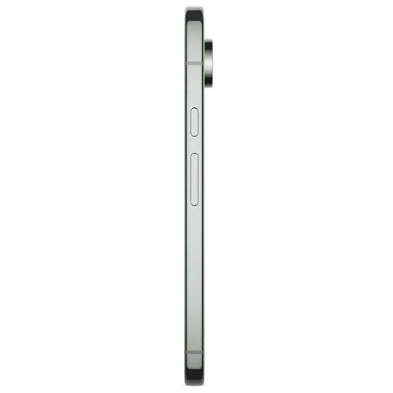 Pixel 9 Pro XL de 256 Go de Google avec Fido - Vert lichen - Financement mensuel