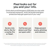 Pixel 9 Pro de 128 Go de Google avec Virgin Plus - Vert lichen - Financement mensuel