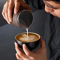 Breville 420ml (14.2 fl.) Pro Control Jug