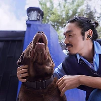 Écouteurs boutons 100 % sans fil Ultra Open de Bose - Bleu lunaire