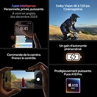 iPhone 16 Pro de 256 Go d'Apple avec Bell - Titane sable - Financement mensuel