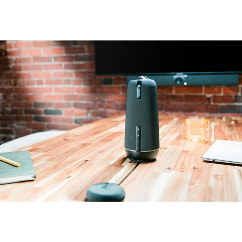 Microphone d'extension pour Meeting Owl 4+ d'Owl Labs (EXM100-1100) - Noir