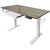 Ljubljana 47" Electric Height Adjustable Standing Desk Standing Desk - Maple