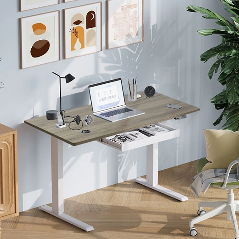 Ljubljana 47" Electric Height Adjustable Standing Desk Standing Desk - Maple