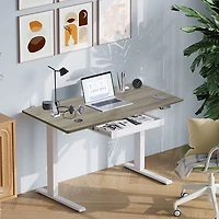 Ljubljana 47" Electric Height Adjustable Standing Desk Standing Desk - Maple