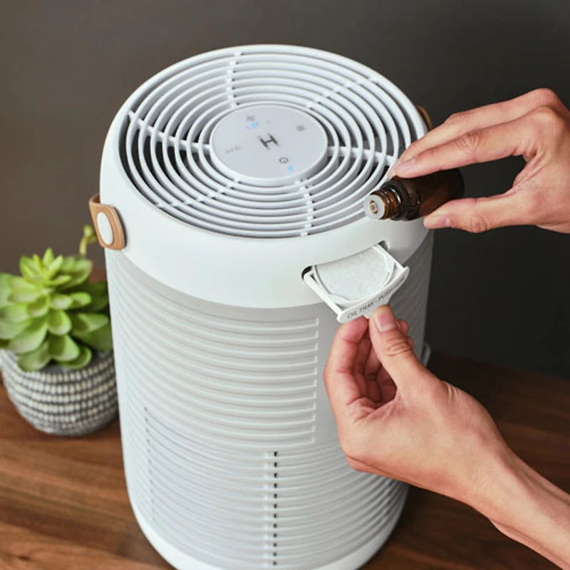 Purificateur d'air intelligent 3-en-1 TotalClean T100 de HoMedics avec filtre HEPA