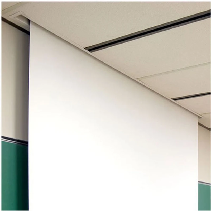 Draper Targa 137'' 16:10 Electrical Projector Screen (116370U)