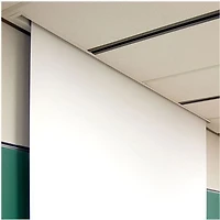 Draper Targa 137'' 16:10 Electrical Projector Screen (116370U)