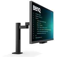 BenQ 31.5" 4K Ultra HD 60Hz 5ms GTG IPS LCD Monitor (RD320UA) - Metallic Grey