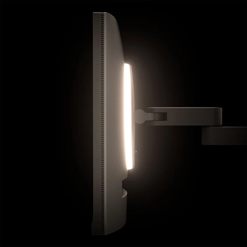 BenQ 31.5" 4K Ultra HD 60Hz 5ms GTG IPS LCD Monitor (RD320UA) - Metallic Grey