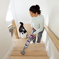 Aspirateur-balai sans fil PowerDetect de Shark - Gris/Violet