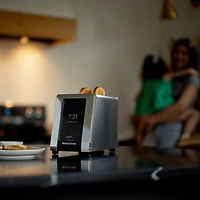 Revolution Revolution R180 Connect Toaster - 2-Slice - Silver