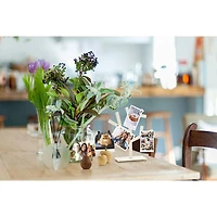 Imprimante photo compacte SELPHY QX20 de Canon - Blanc