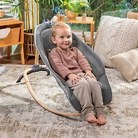 Ingenuity Every Season Rocking Seat - Wesley