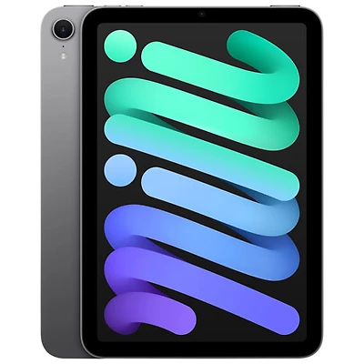 iPad mini 8,3 po 512 Go avec Wi-Fi (7e génération) d'Apple - Gris cosmique