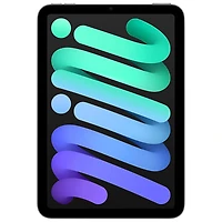 iPad mini 8,3 po 512 Go avec Wi-Fi (7e génération) d'Apple - Gris cosmique