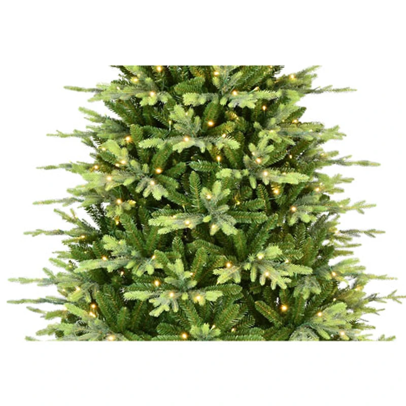 Arbre de Noël de 7,5 pi avec lumières de Puleo (301-CAT-75LW5K4-CUL) - Sapin Carrington