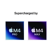 Apple MacBook Pro 14.2" (Fall 2024) - Space Black (Apple M4 Max / 36GB RAM / 1TB SSD) - French