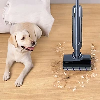Aspirateur-balai à vadrouille sans fil humide/sec S20 Pro de Narwal avec 2 filtres - Gris
