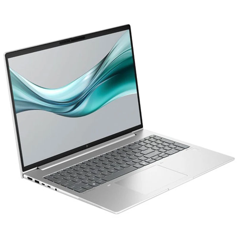 Portable professionnel EliteBook 665 G11 16 po de HP (Ryzen 7 7735U d'AMD/RAM 32 Go/SSD 512 Go/Windows 11 Pro) - anglais