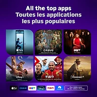 Téléviseur intelligent Roku mini-DEL QLED HDR UHD 4K de 55 po Plus de Roku (55R6C5CA) - 2025