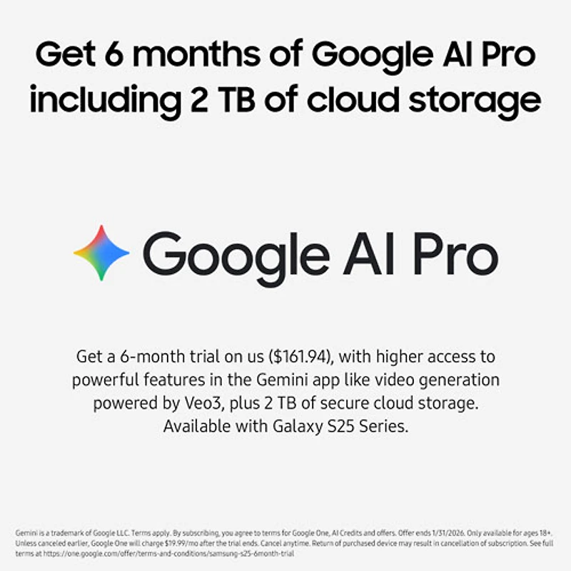 Galaxy S25 Ultra de Go de Samsung - Titane blanc argent