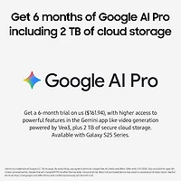 Galaxy S25 Ultra de Go de Samsung - Titane blanc argent