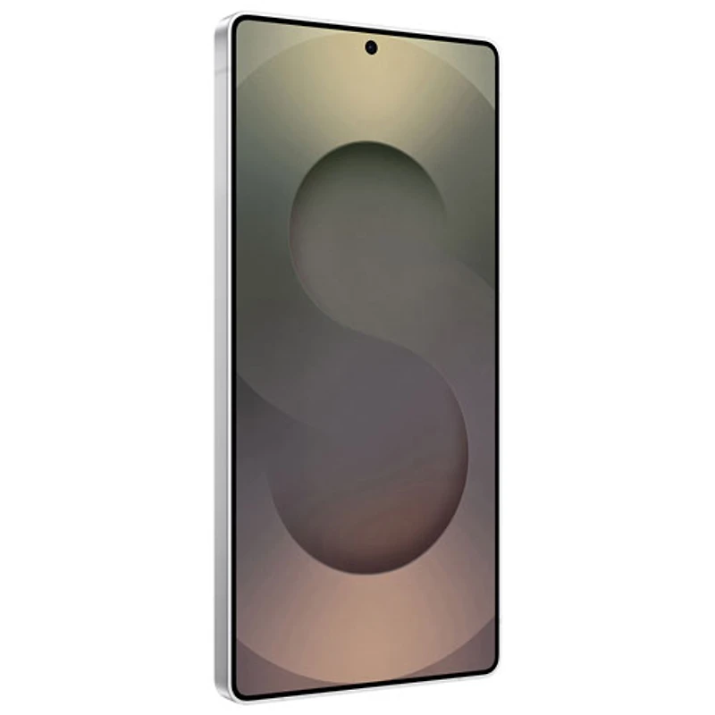 Galaxy S25 Ultra de Go de Samsung - Titane blanc argent
