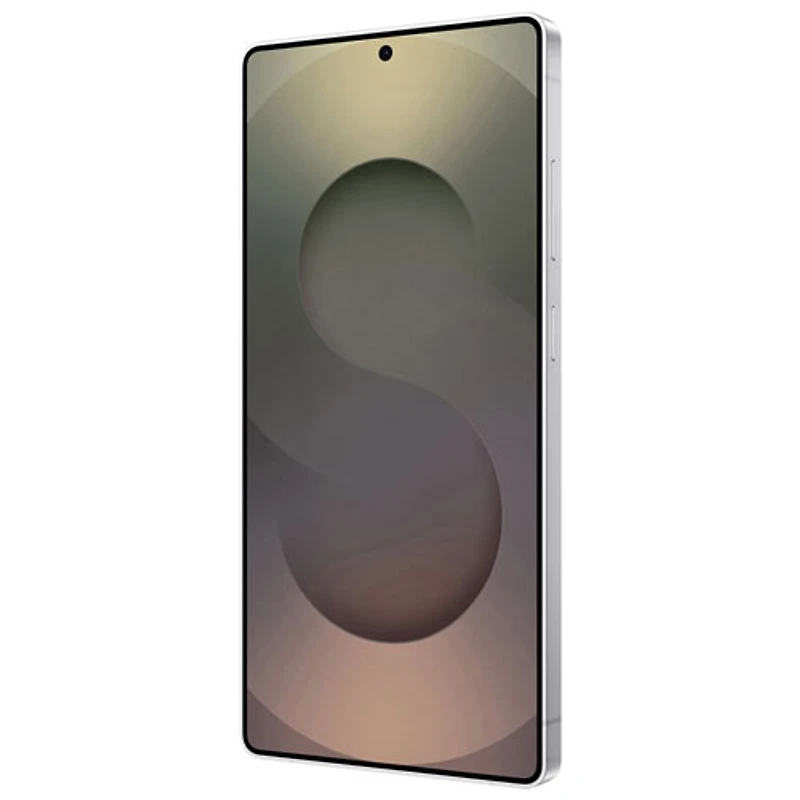 Galaxy S25 Ultra de Go de Samsung - Titane blanc argent
