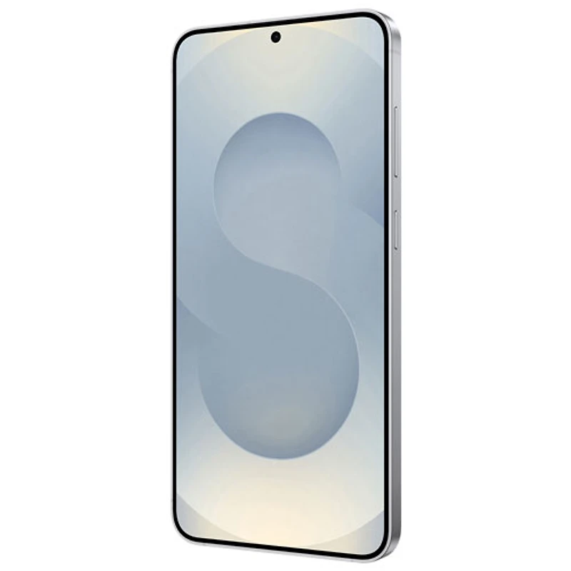 Galaxy S25+ (Plus) de Go de Samsung - Ombre argent
