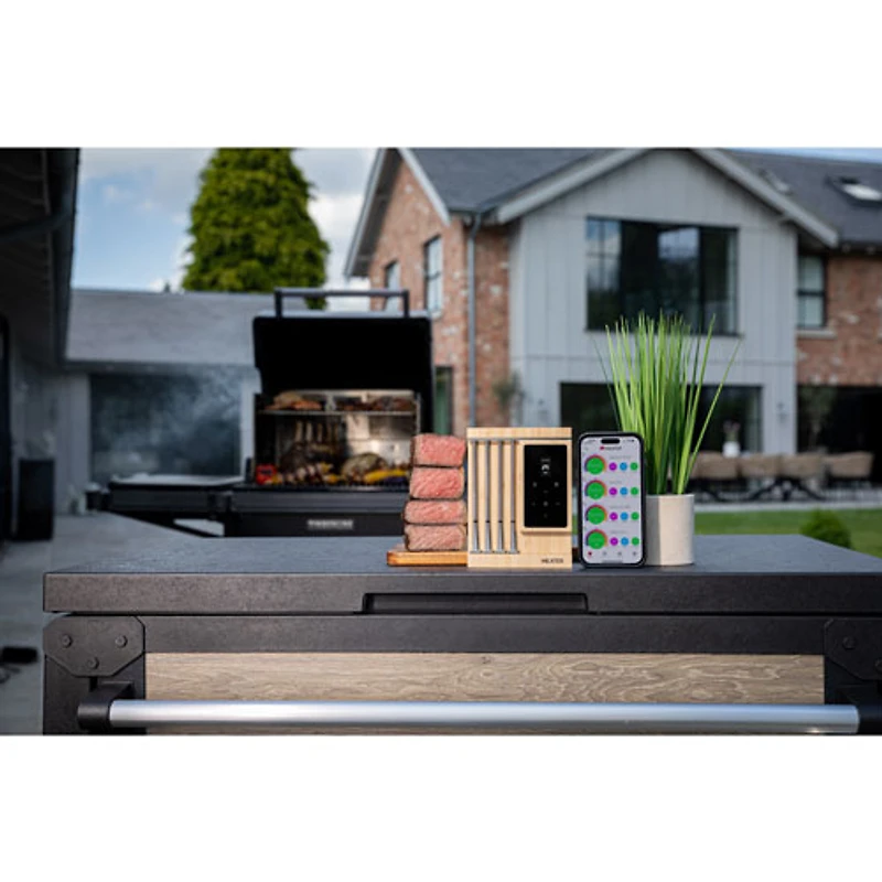 Thermomètre sans fil Duo Meater Pro XL de Traeger - Ensemble de 4 - Argenté