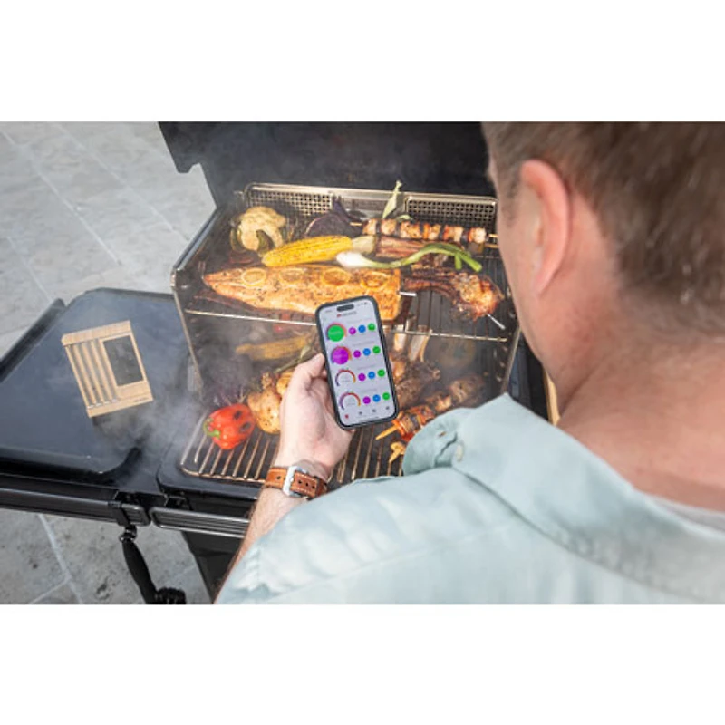 Thermomètre sans fil Duo Meater Pro XL de Traeger - Ensemble de 4 - Argenté