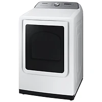 Samsung 7.4 Cu. Ft. Electric Steam Dryer (DVE52DG5505WAC) - White