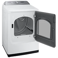 Samsung 7.4 Cu. Ft. Electric Steam Dryer (DVE52DG5505WAC) - White
