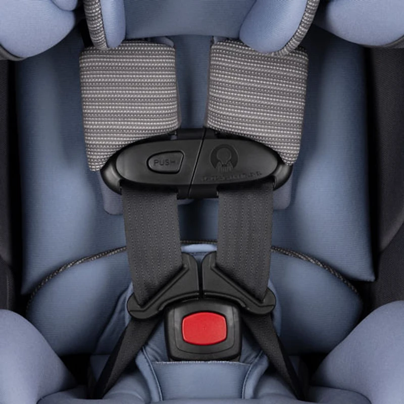 Evenflo REO 2-in-1 Convertible Car Seat - Brookline