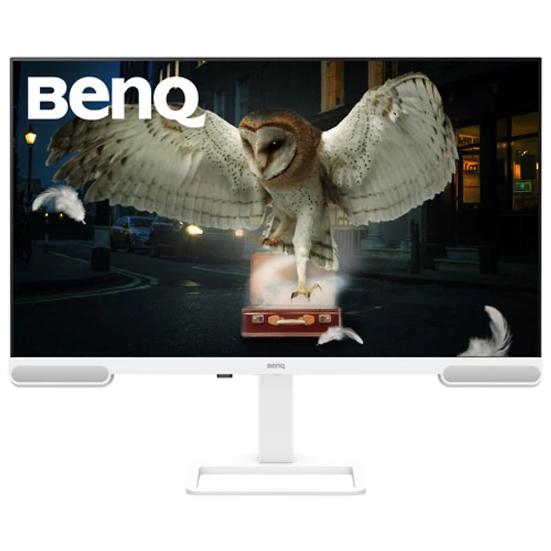 Moniteur de jeu DEL IPS Ultra HD 4K 60 Hz de 31,5 po de BenQ avec temps de réponse gris à gris de 5 ms (EW3290U) - Blanc
