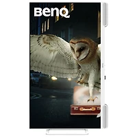 Moniteur de jeu DEL IPS Ultra HD 4K 60 Hz de 31,5 po de BenQ avec temps de réponse gris à gris de 5 ms (EW3290U) - Blanc