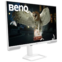 Moniteur de jeu DEL IPS Ultra HD 4K 60 Hz de 31,5 po de BenQ avec temps de réponse gris à gris de 5 ms (EW3290U) - Blanc