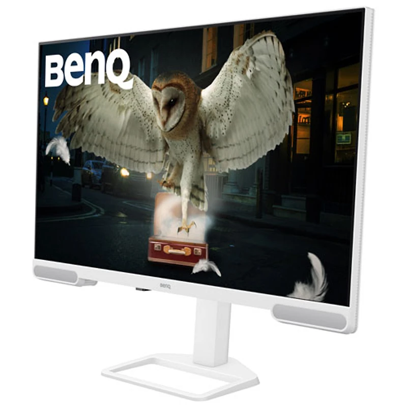 Moniteur de jeu DEL IPS Ultra HD 4K 60 Hz de 31,5 po de BenQ avec temps de réponse gris à gris de 5 ms (EW3290U) - Blanc
