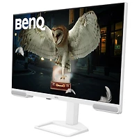 Moniteur de jeu DEL IPS Ultra HD 4K 60 Hz de 31,5 po de BenQ avec temps de réponse gris à gris de 5 ms (EW3290U) - Blanc