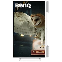 BenQ 27" QHD 1440p 100Hz 5ms GTG IPS LED Gaming Monitor (EW2790Q) - White