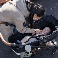 Evenflo Shyft Intuiti Travel System with Revolve180 LiteMax NXT Infant Car Seat - Black