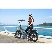 Blutron EB750S Electric Utility Bike (500W Motor / Up to 70km Battery Range / 32km/h Top Speed) - Future Grey - Only at Best Buy