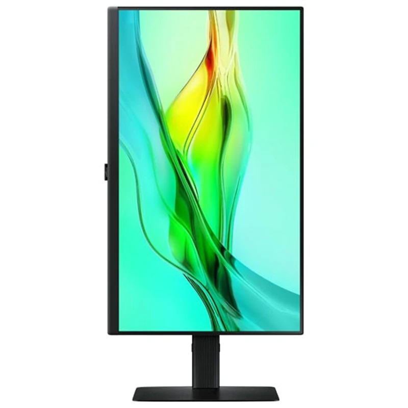 Samsung ViewFinity S6 24" WQHD 100Hz 5ms GTG IPS LCD Monitor (LS24D606UANXZA) - Black