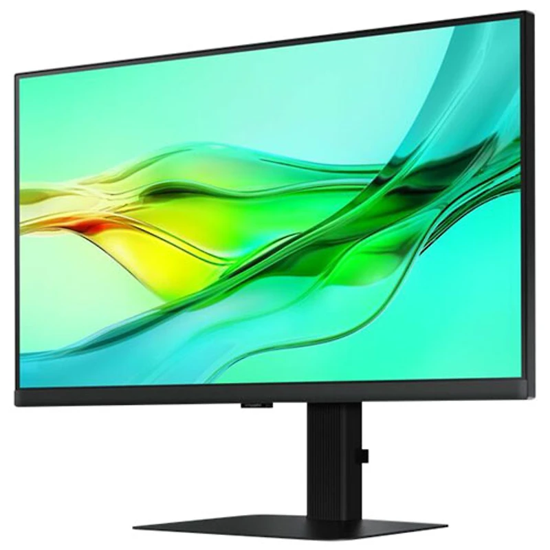 Samsung ViewFinity S6 24" WQHD 100Hz 5ms GTG IPS LCD Monitor (LS24D606UANXZA) - Black