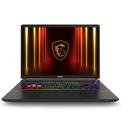 Portable de jeu Vector HX de 16 po de MSI - Gris cosmos (Core Ultra9-275HX d'Intel/RAM 32 Go/SSD 1 To/RTX 5080)